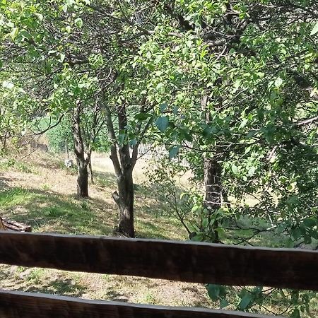 Mesxta Ξενοδοχείο Nakalakevi Εξωτερικό φωτογραφία