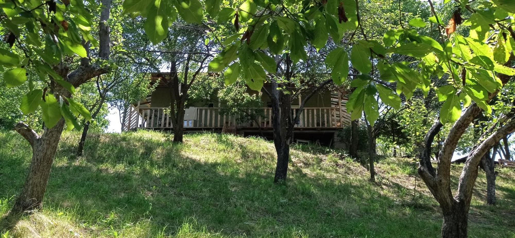Mesxta Ξενοδοχείο Nakalakevi Εξωτερικό φωτογραφία