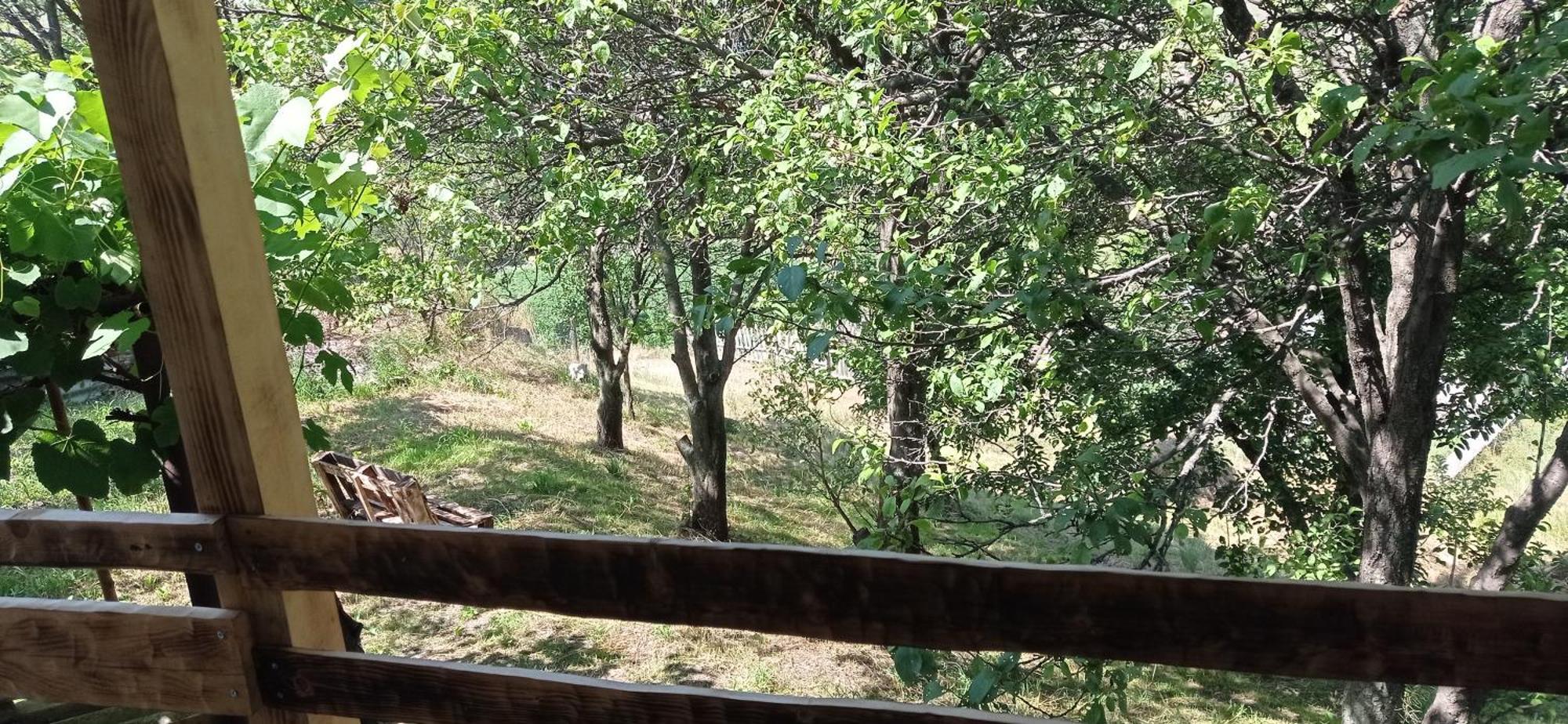 Mesxta Ξενοδοχείο Nakalakevi Εξωτερικό φωτογραφία